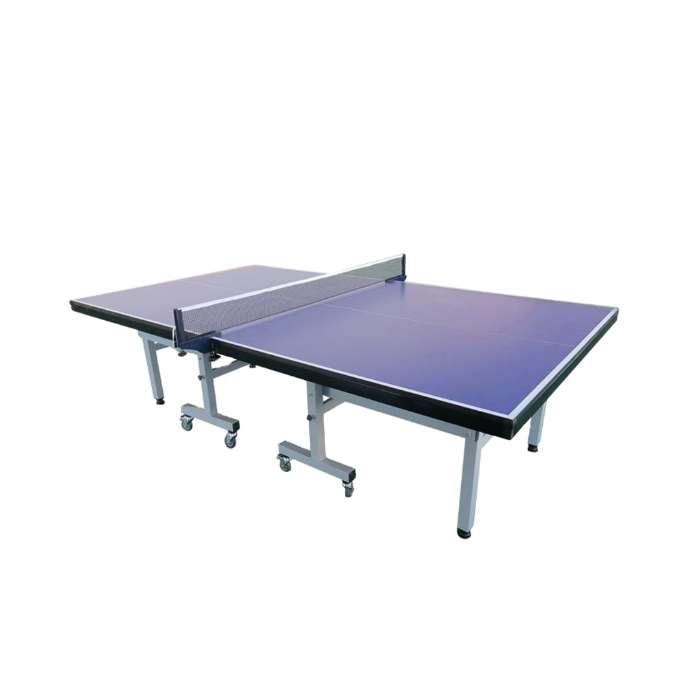 Table Tennis Training - Table de tennis de table d'intérieur