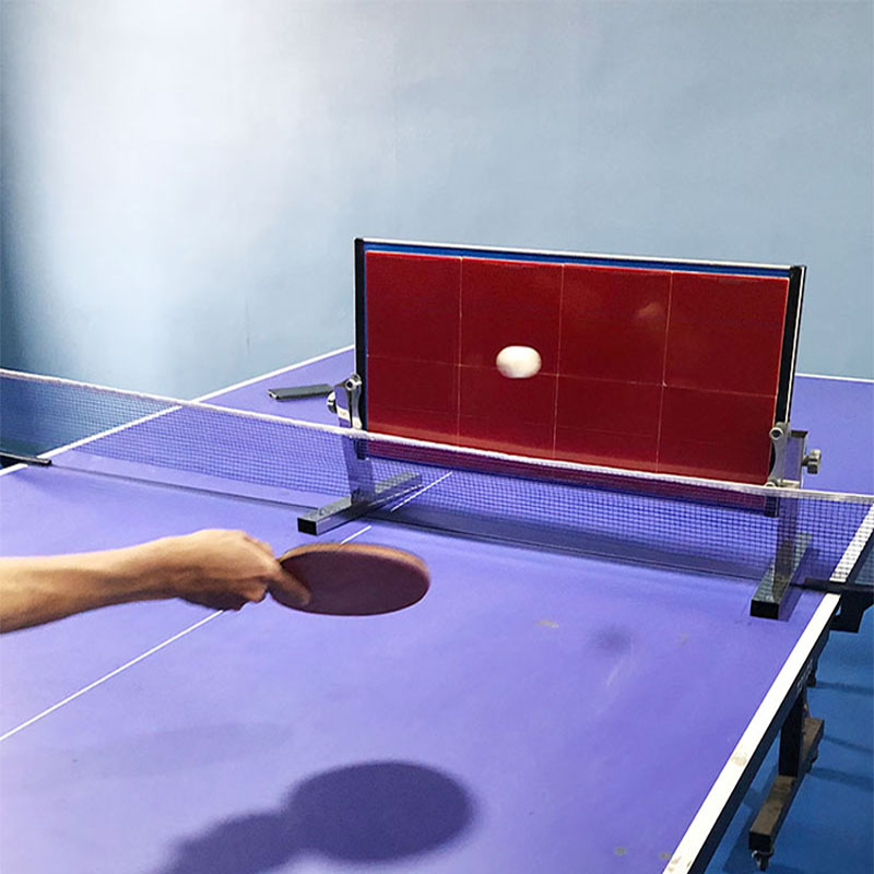 Table Tennis Training - Table de tennis de table à