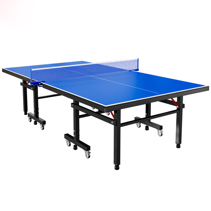 Table Tennis Training - Table de tennis de table professionnelle