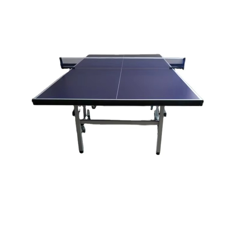 Table de tennis de table d'int - Table Tennis Training avis et prix