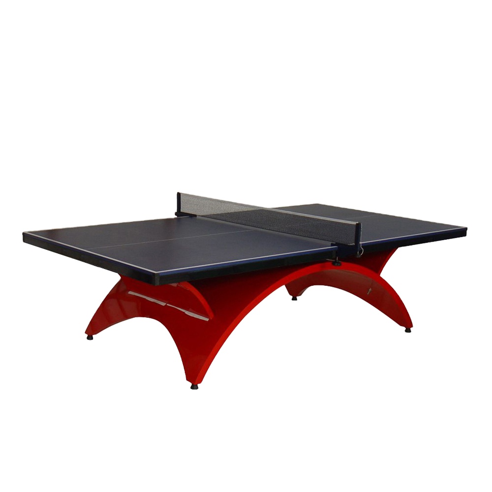 Table de tennis de table d'int - Table Tennis Training avis et prix