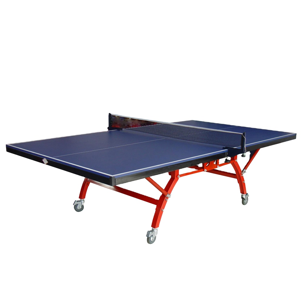 Table de tennis de table d'int - Table Tennis Training avis et prix