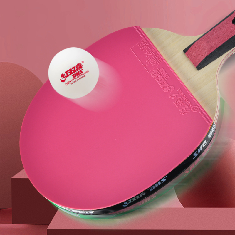 DHS 6 étoiles raquette de Tenn - Table Tennis World avis et prix